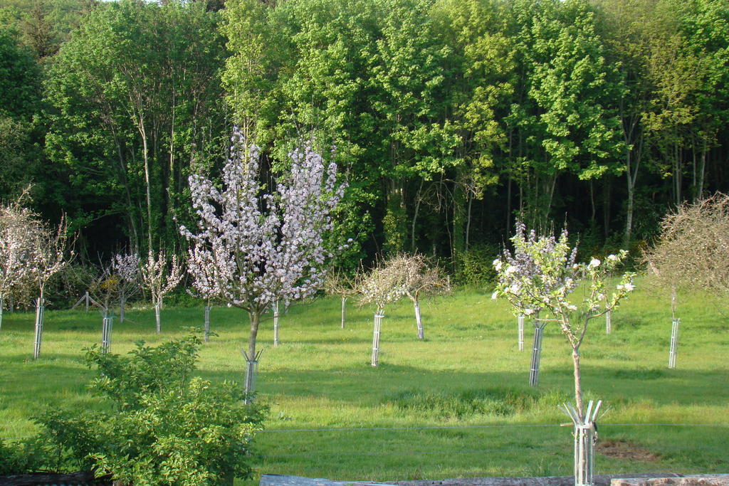 Gite De La Cour Campandré-Valcongrain Rom bilde